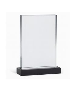 Acrylic Rectangle Trophy - 9 Inch
